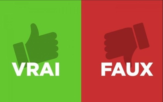 vrai faux.jpeg